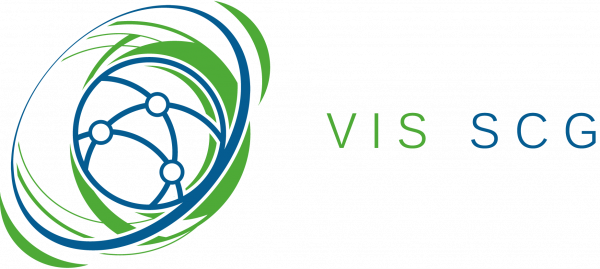 Лого на Координационната група за надзор на Визовата информационна система